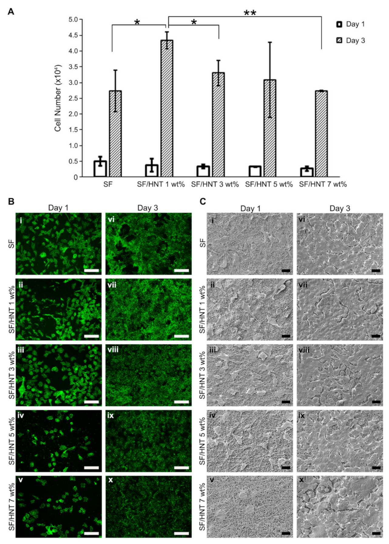 Polymers 14 03004 g006