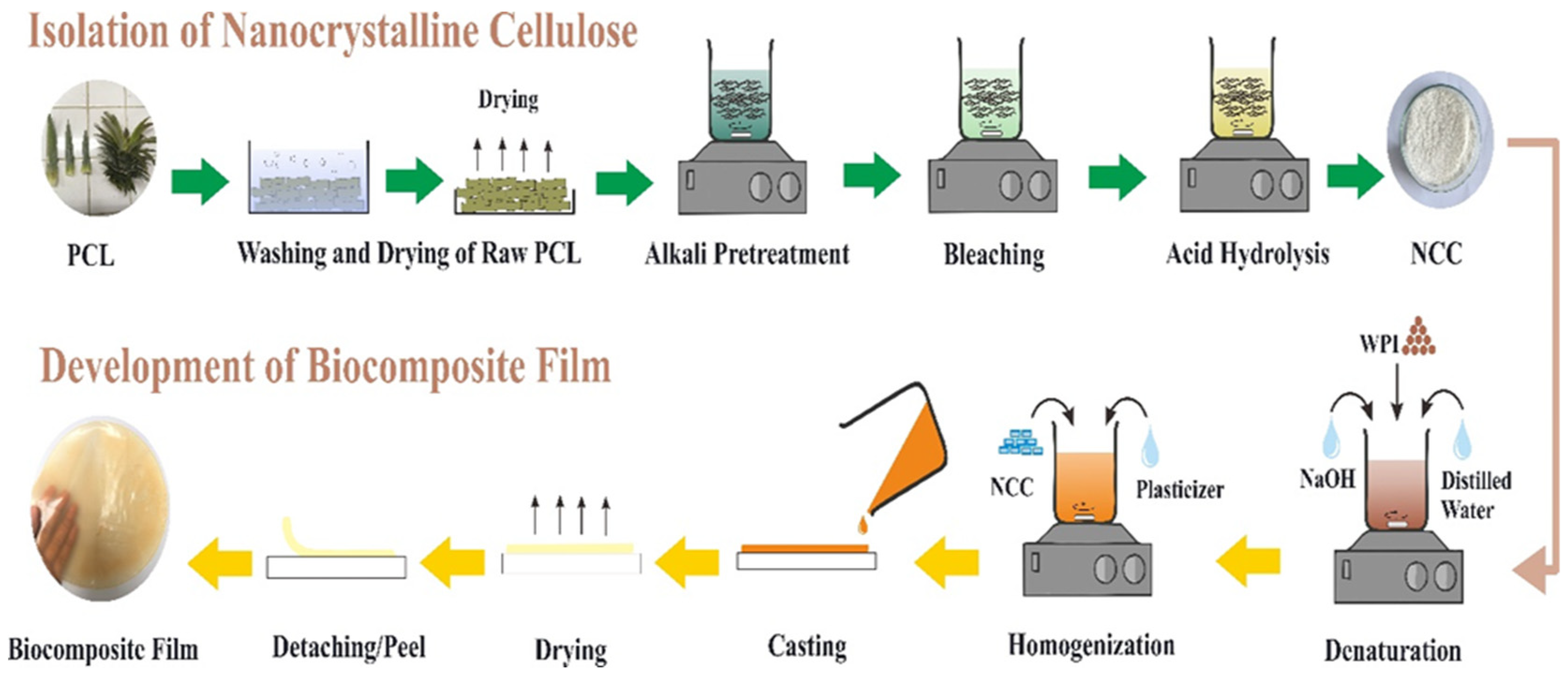 Polymers 14 03006 g001