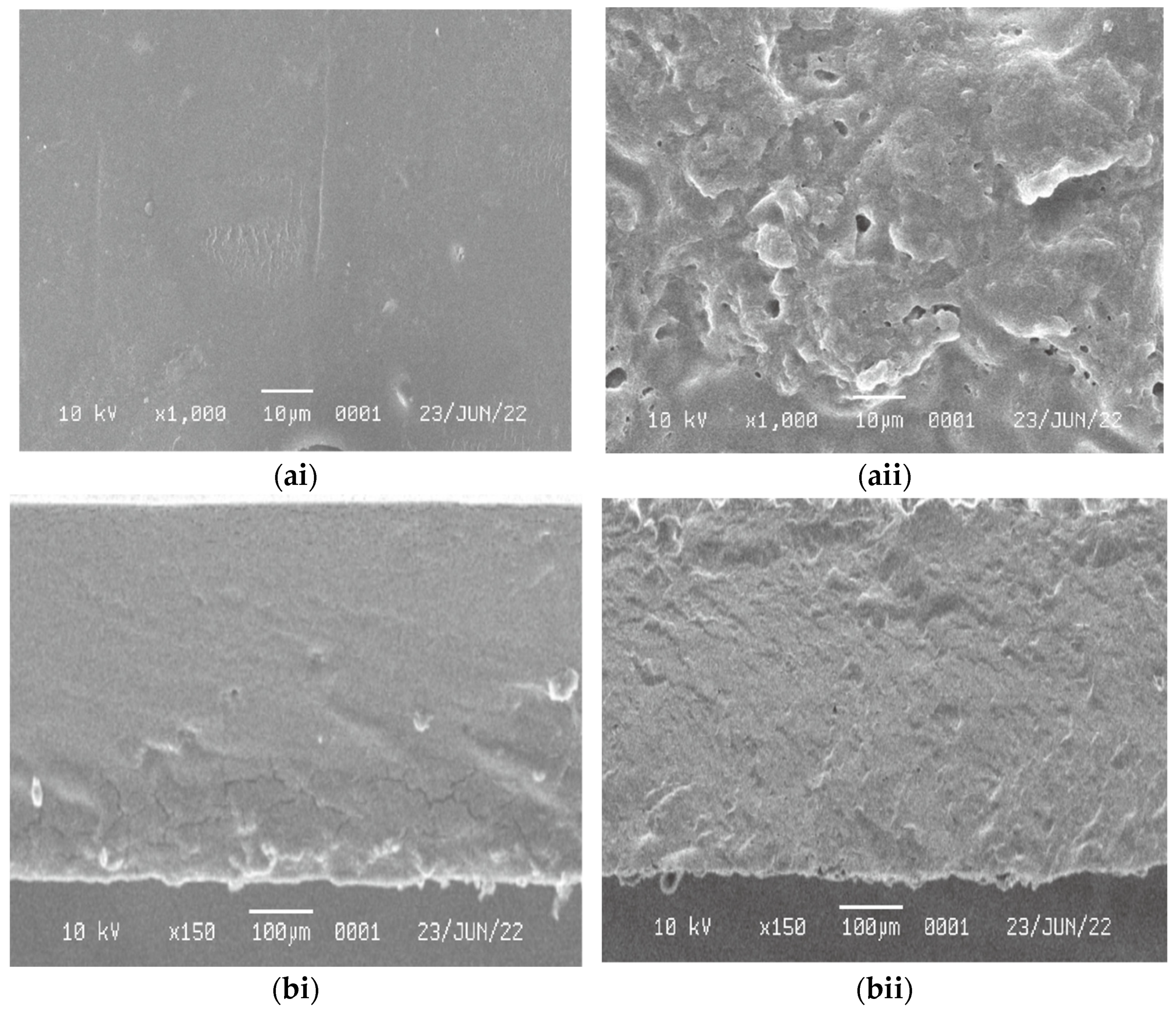 Polymers 14 03006 g004
