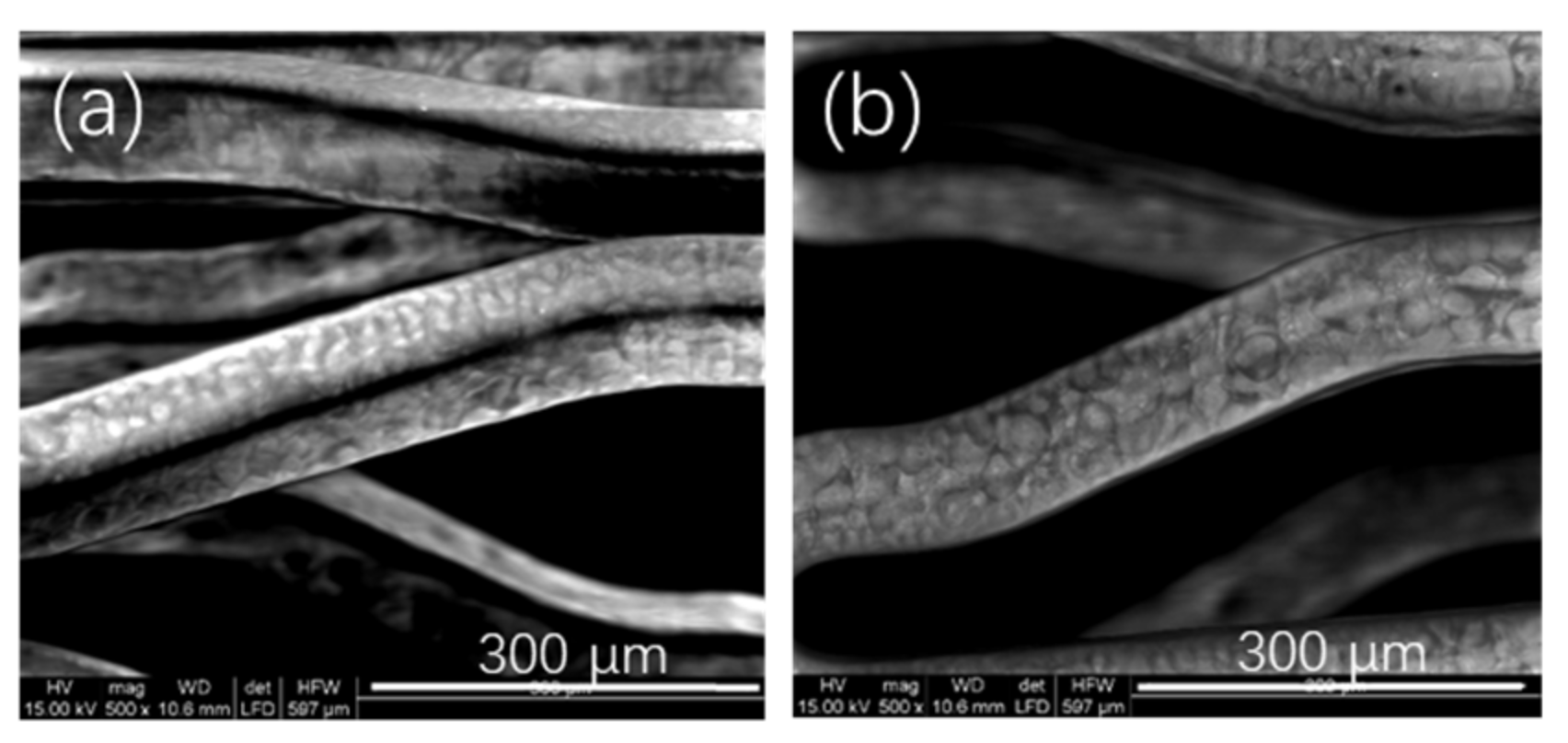 Polymers 14 03018 g001