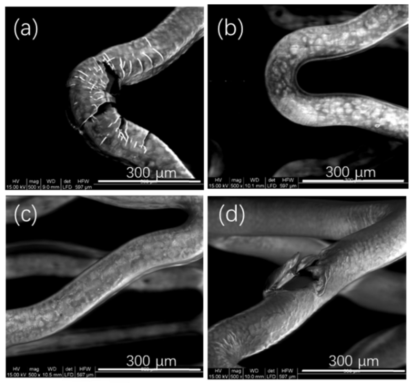 Polymers 14 03018 g003