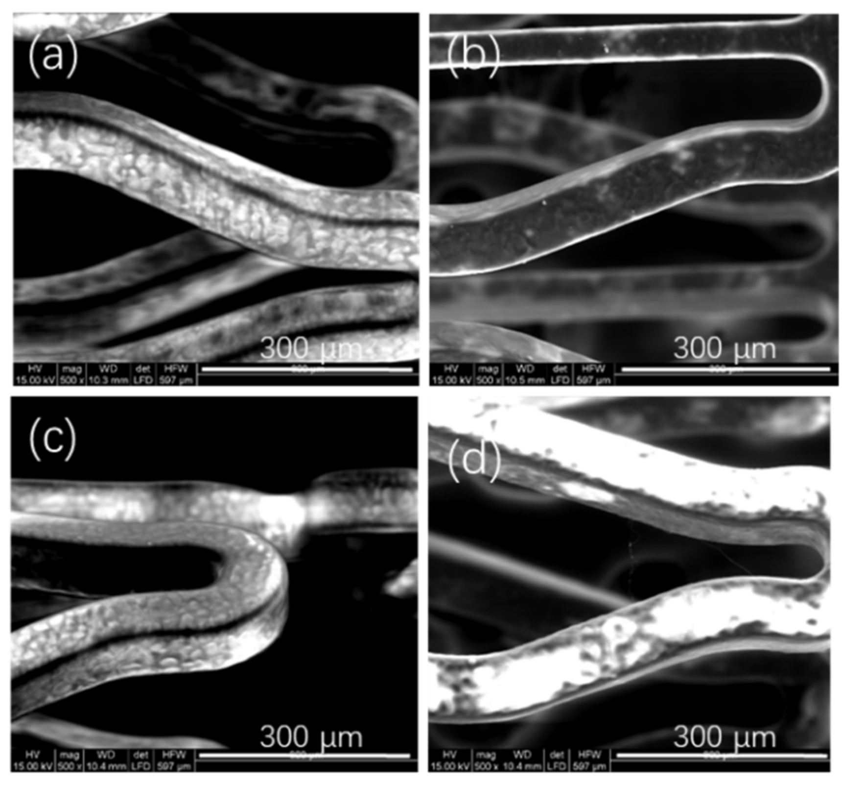 Polymers 14 03018 g005