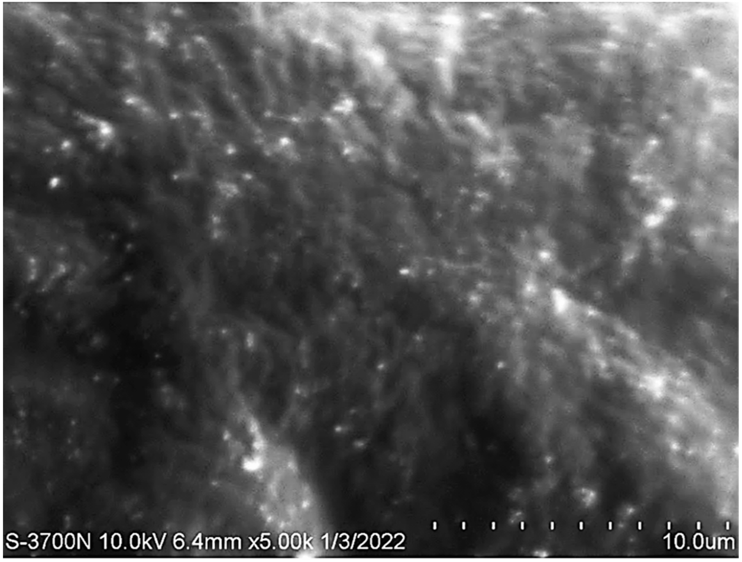 Polymers 14 03021 g008
