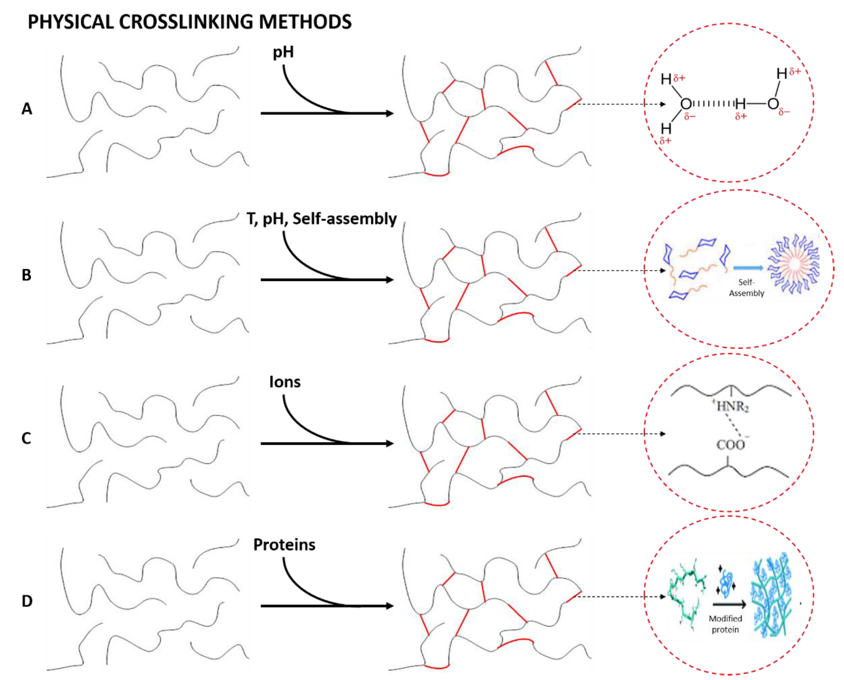Polymers 14 03023 g004