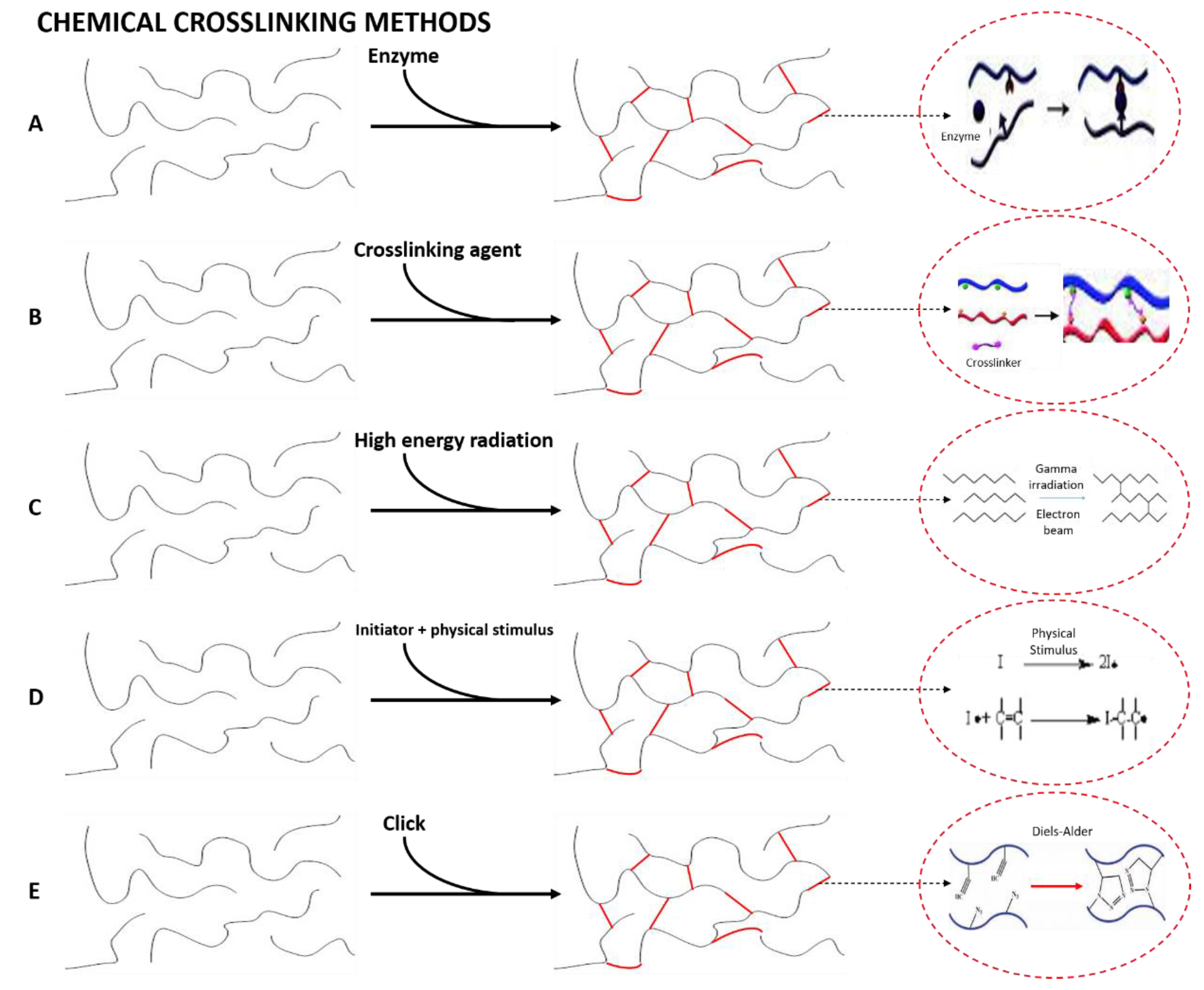Polymers 14 03023 g005