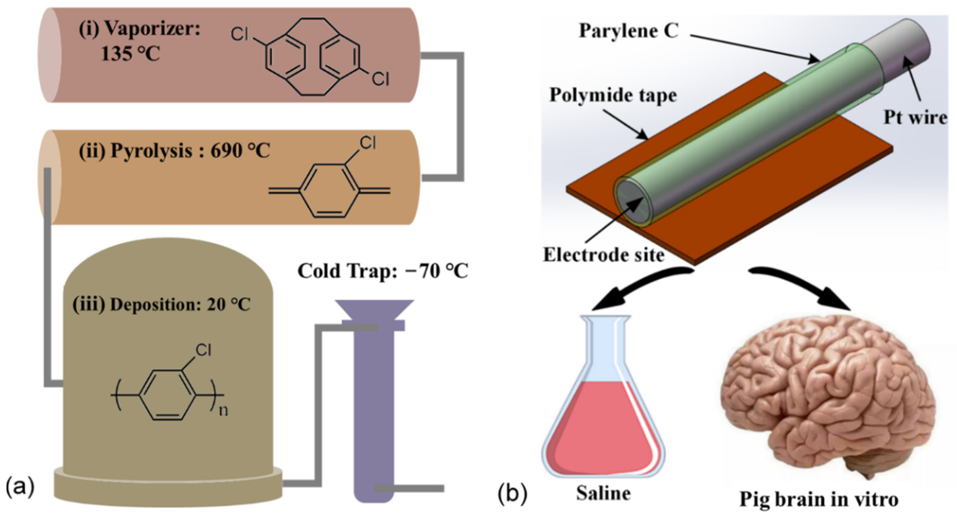 Polymers 14 03033 g001