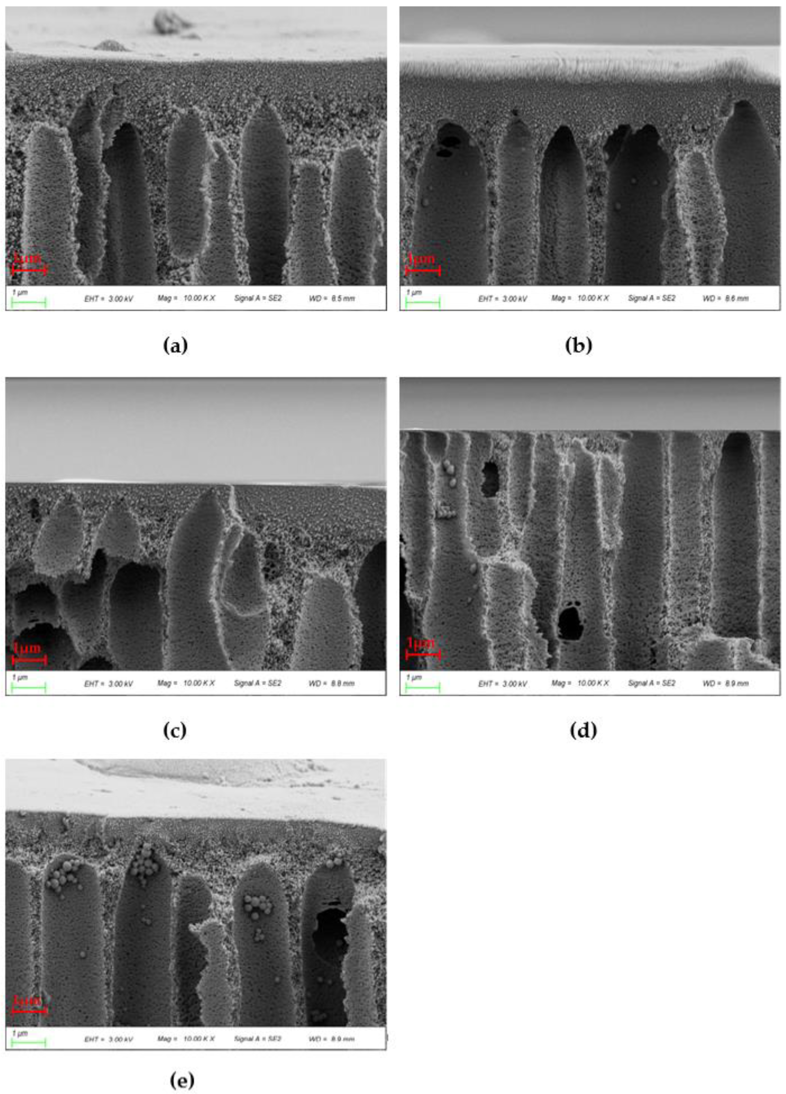 Polymers 14 03046 g008