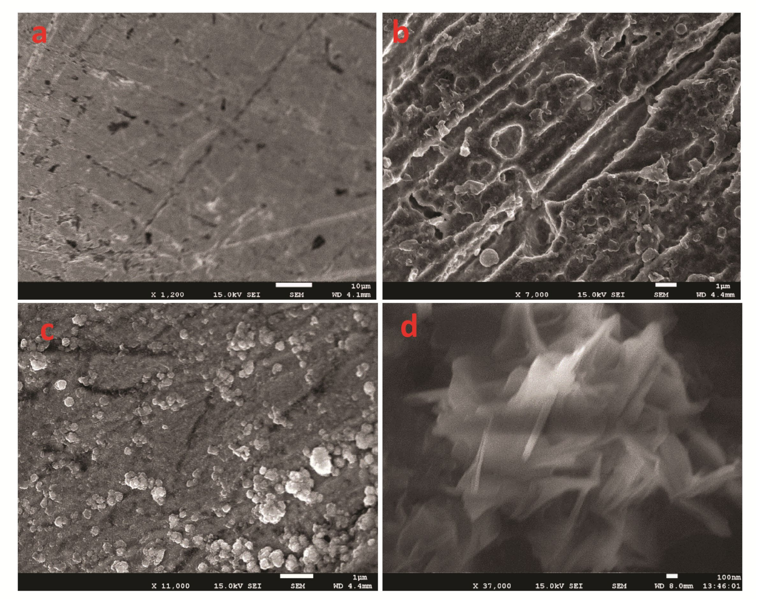 Polymers 14 03047 g002