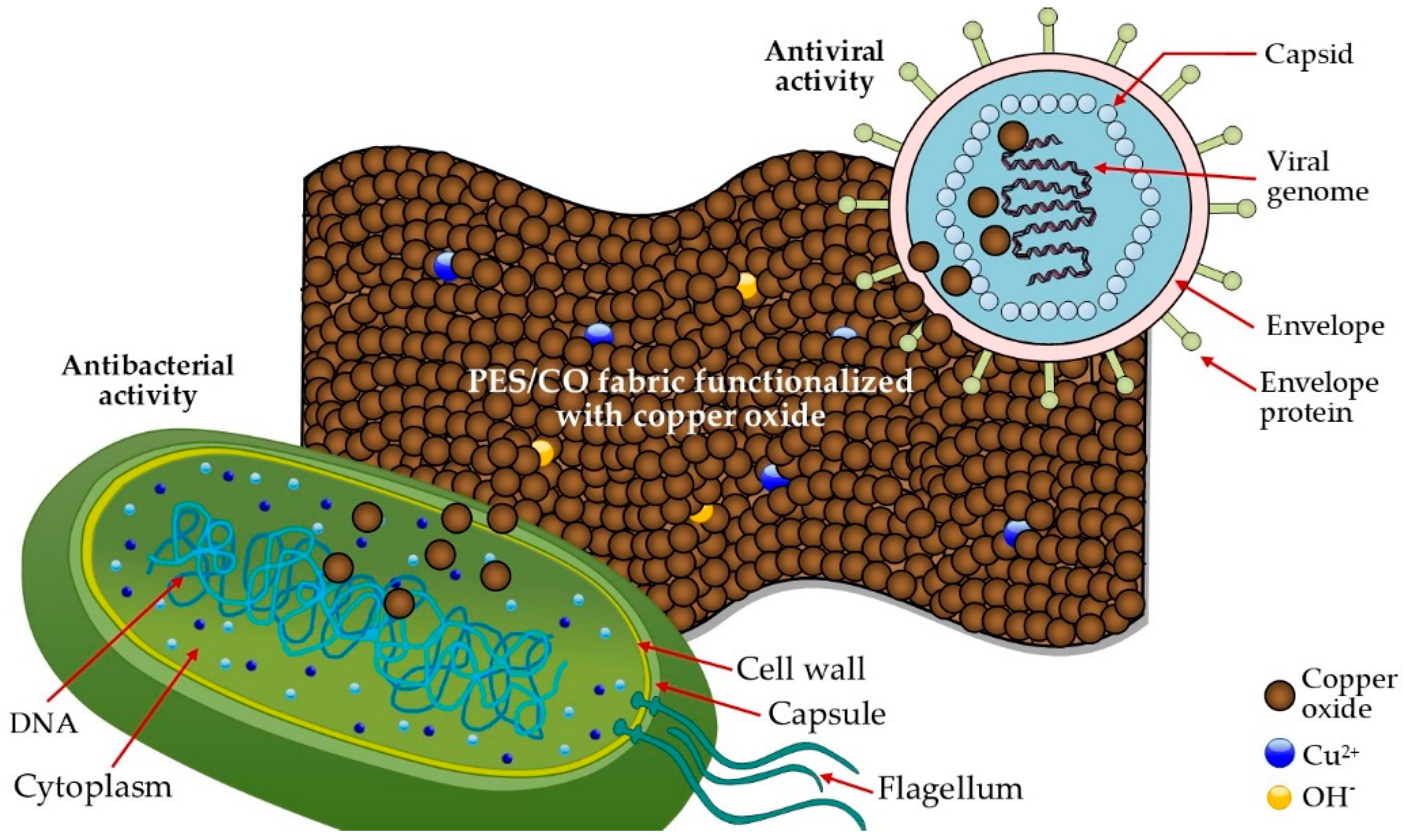 Polymers 14 03066 g007