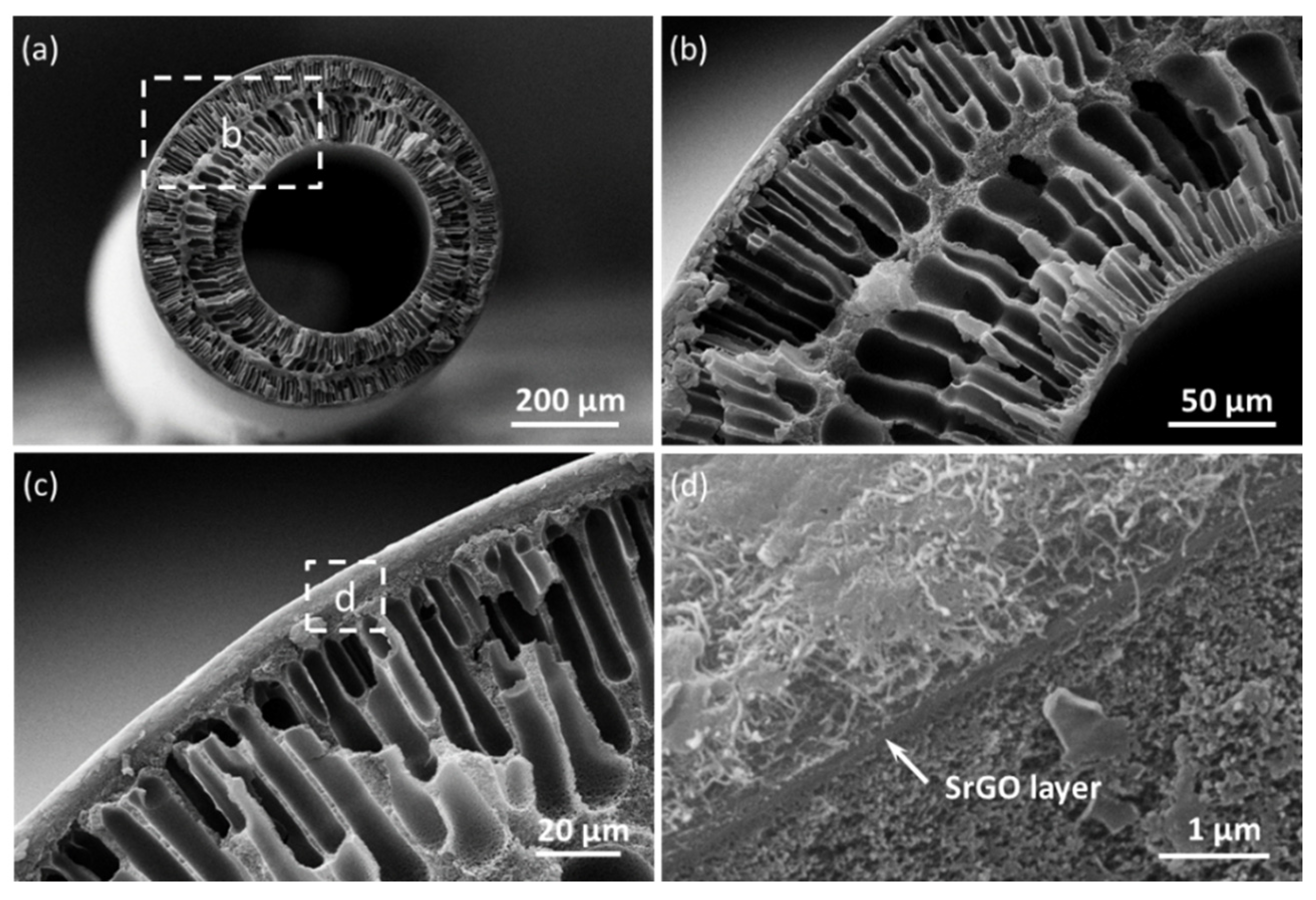 Polymers 14 03068 g003