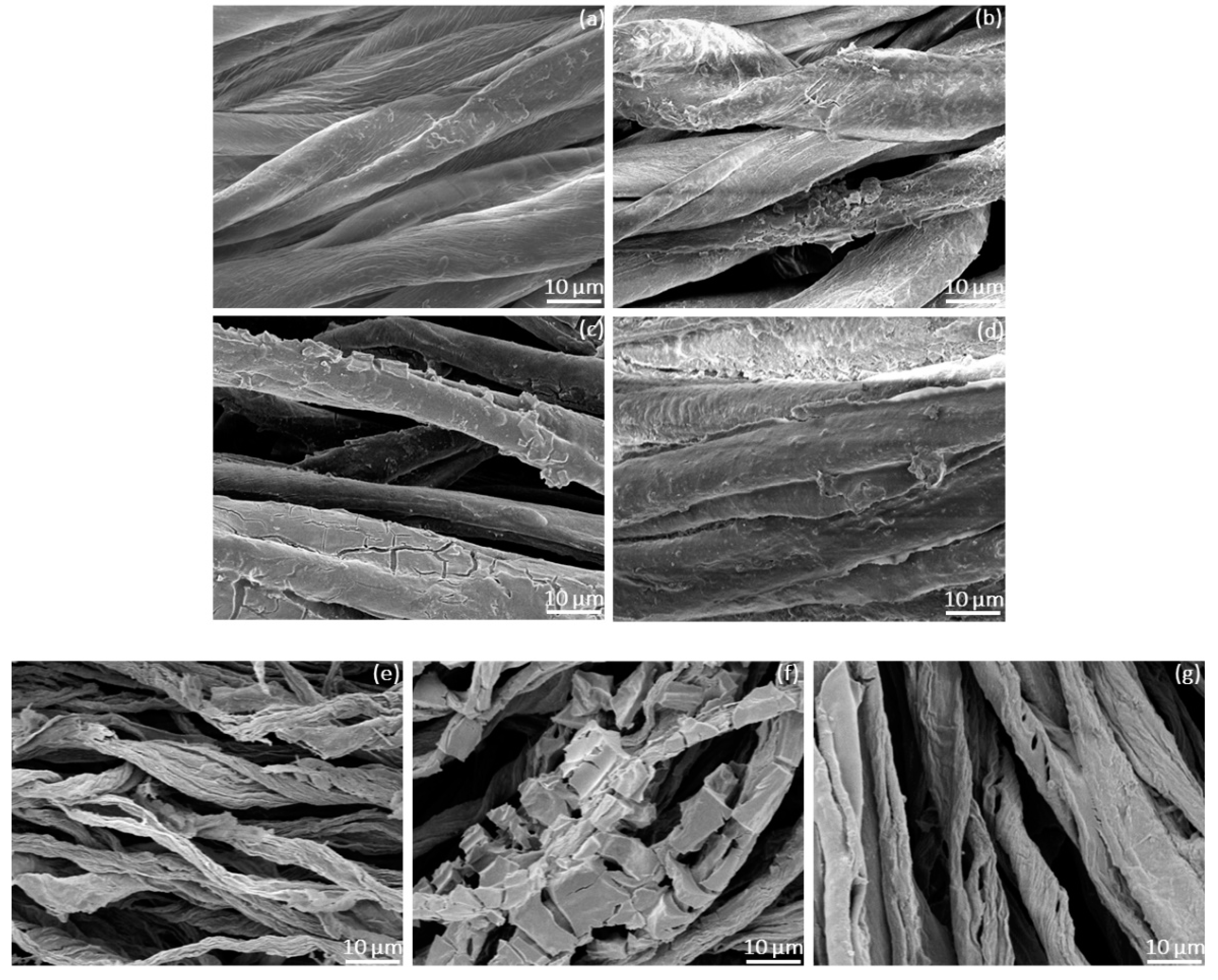 Polymers 14 03071 g004
