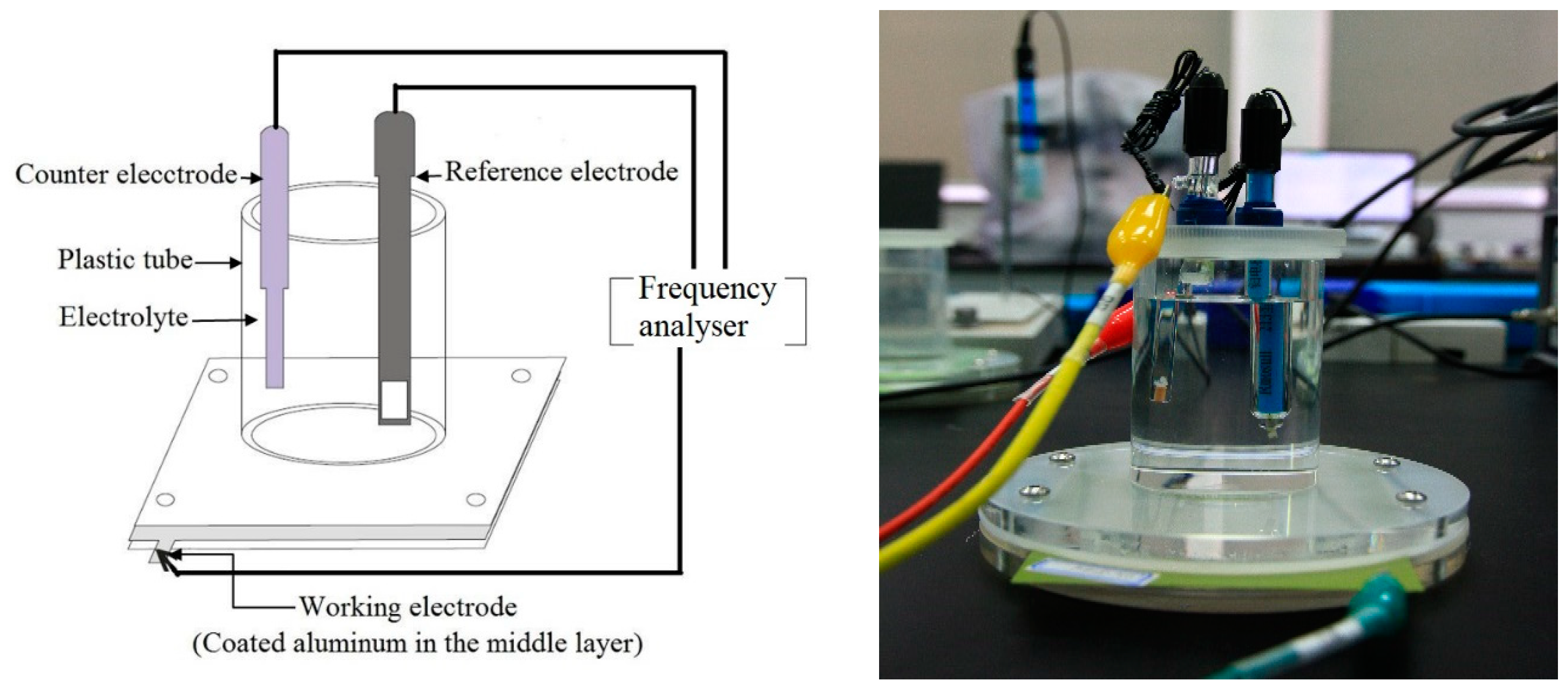 Polymers 14 03076 g002