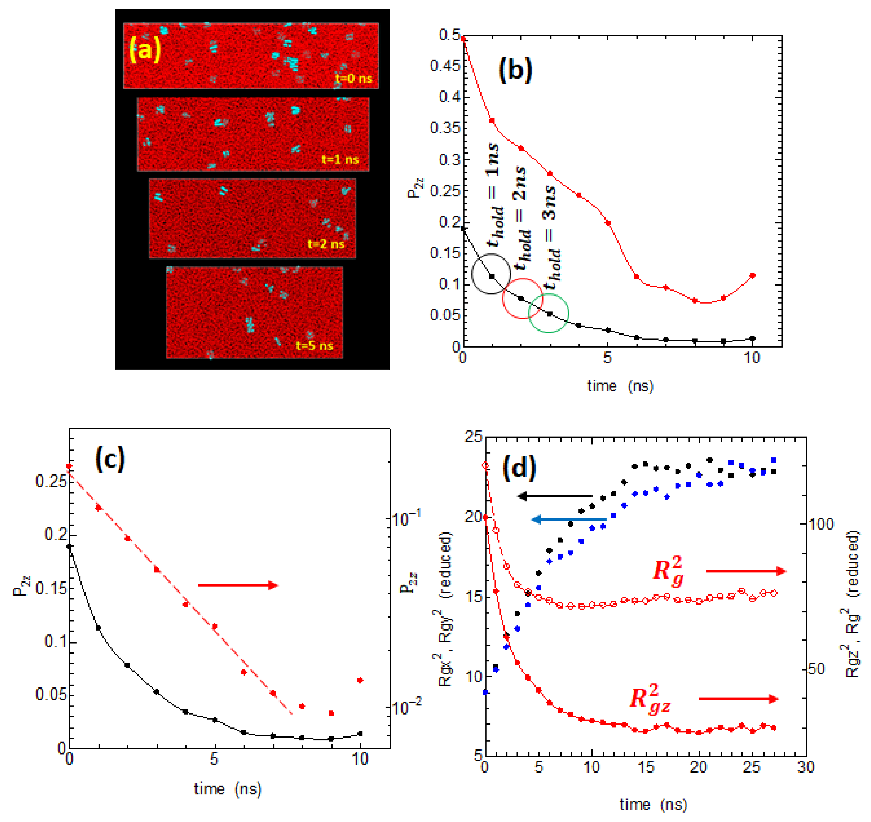 Polymers 14 03082 g002