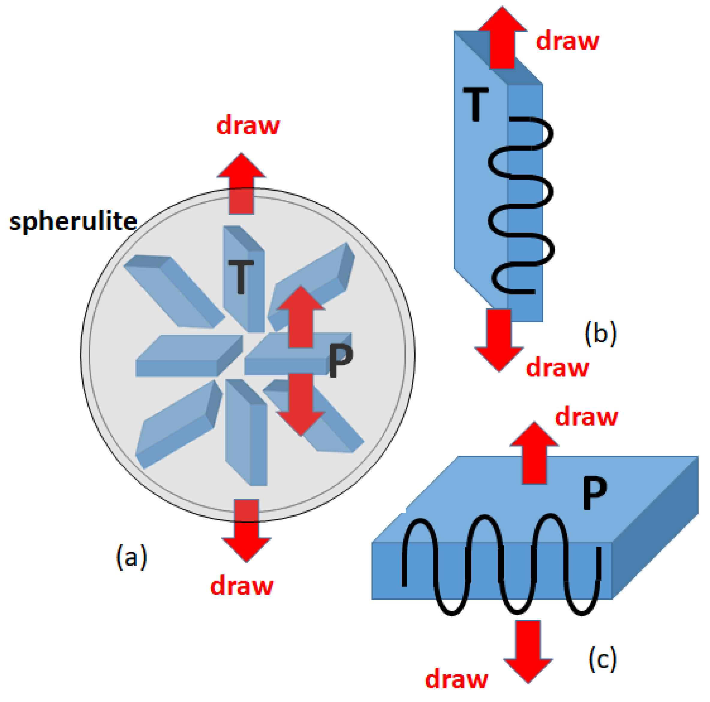 Polymers 14 03082 g008