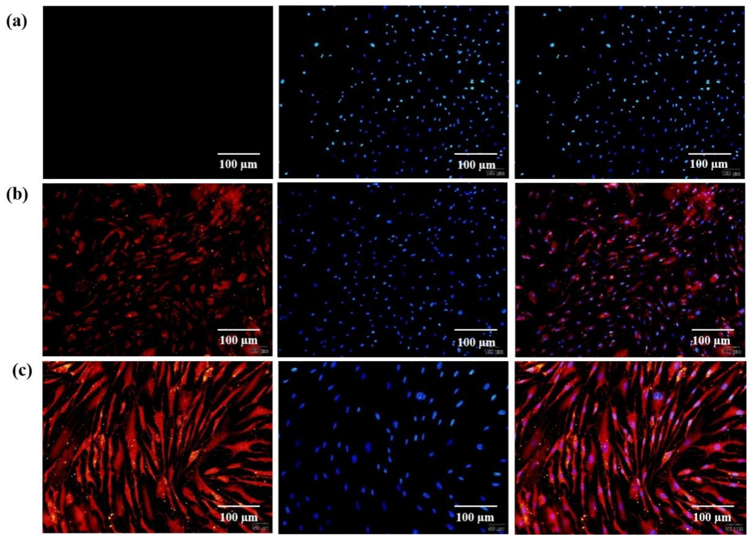 Polymers 14 03089 g004