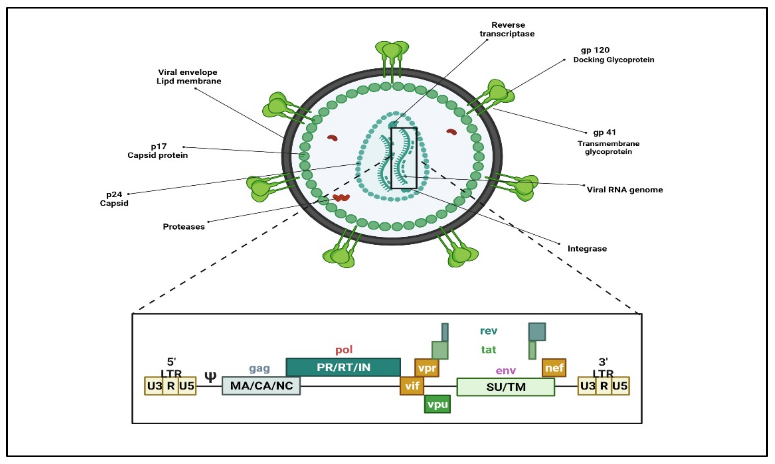 Polymers 14 03090 g001