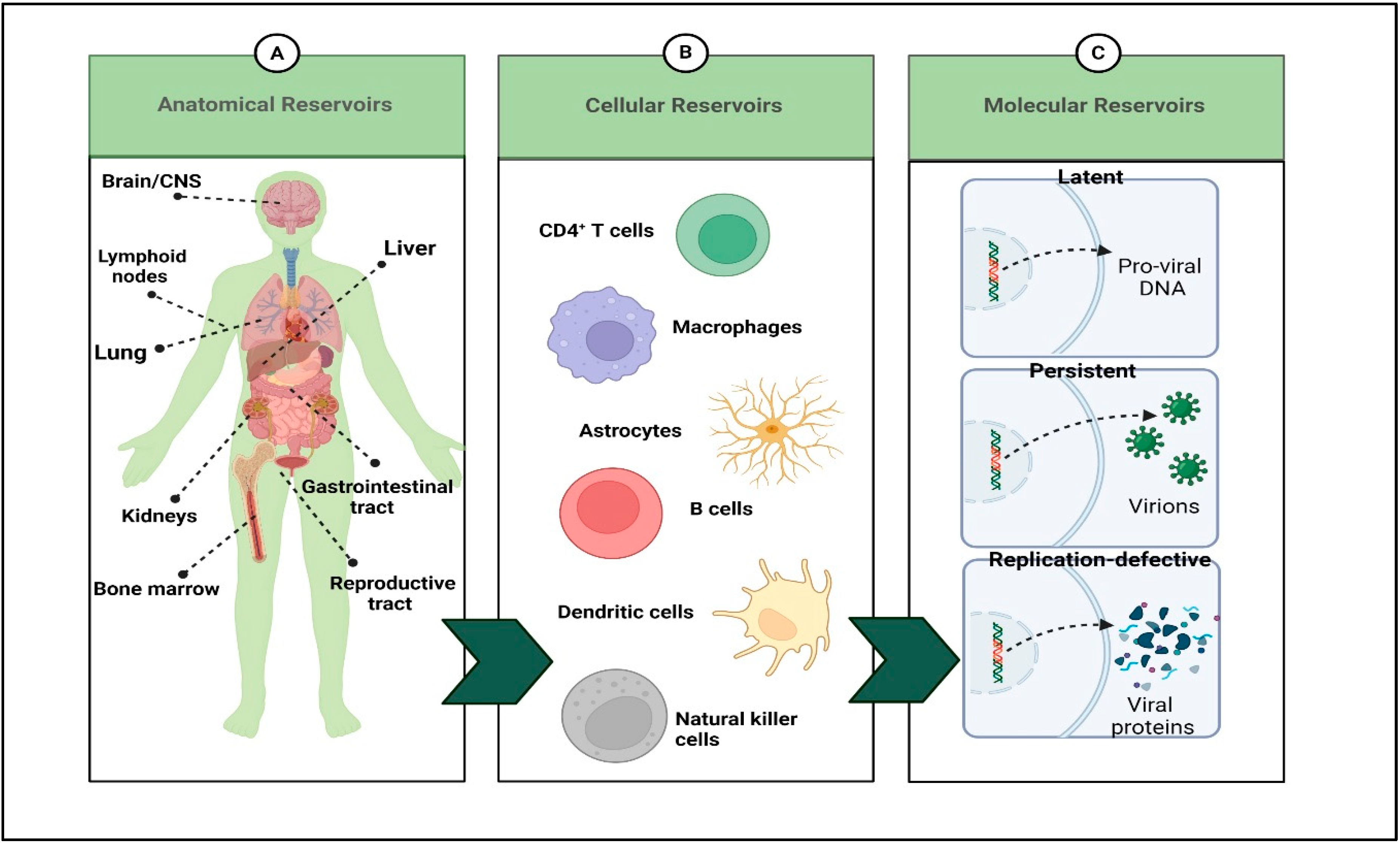 Polymers 14 03090 g003