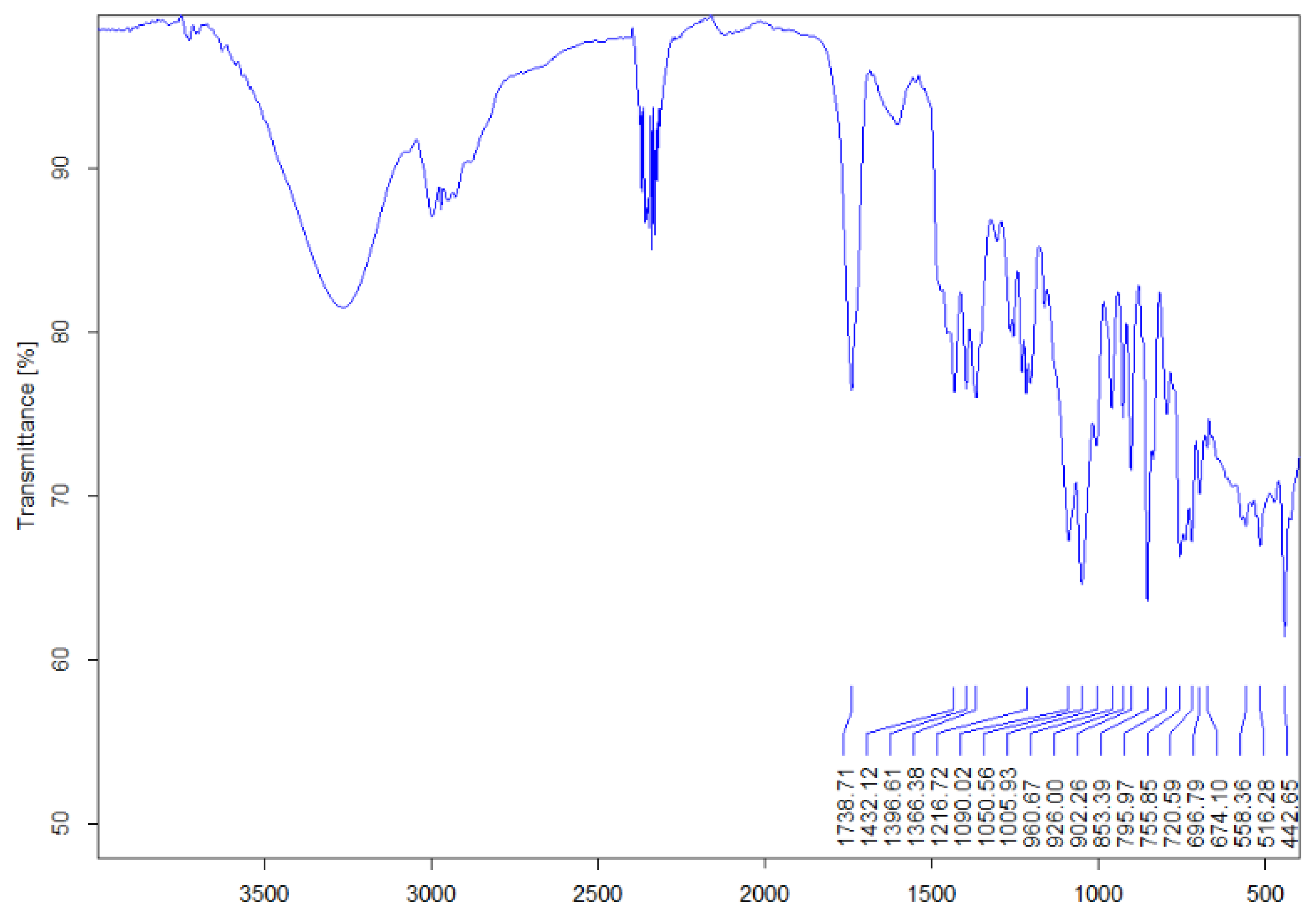 Polymers 14 03100 g001