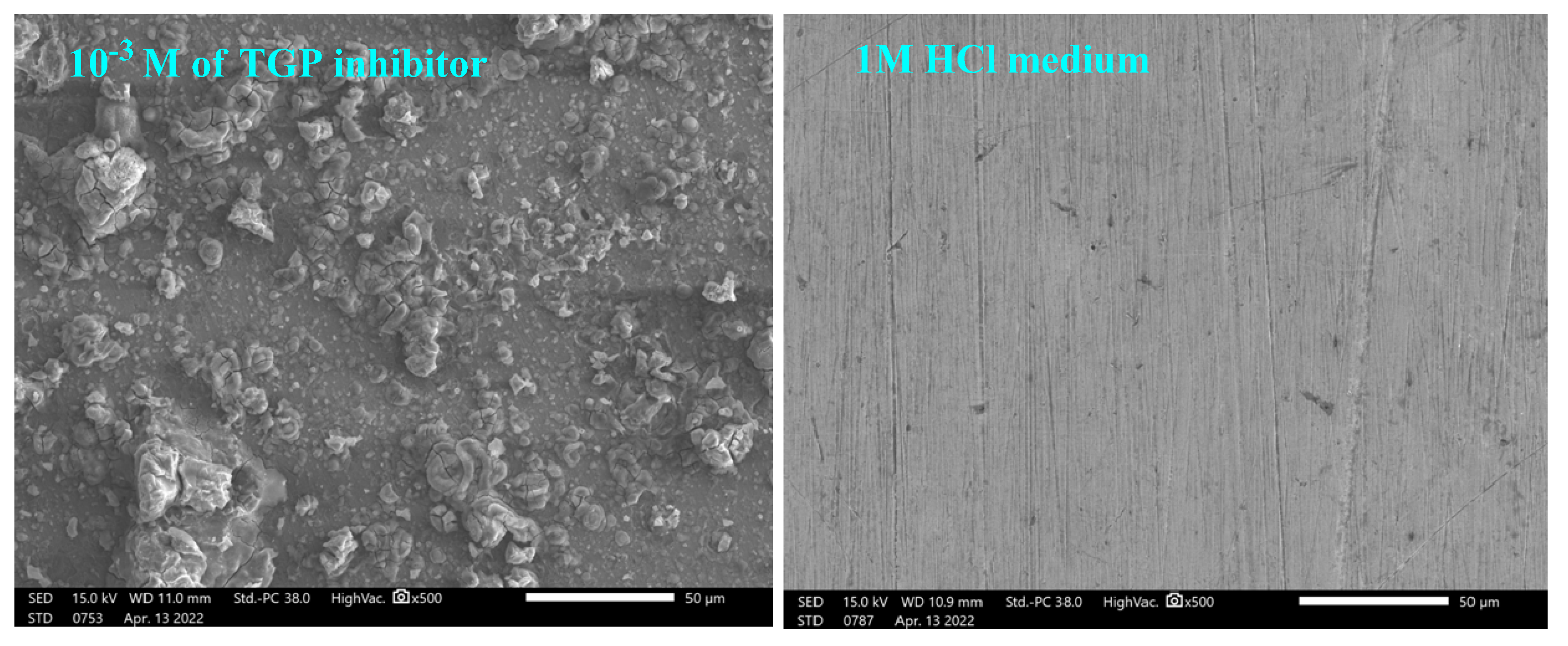 Polymers 14 03100 g005