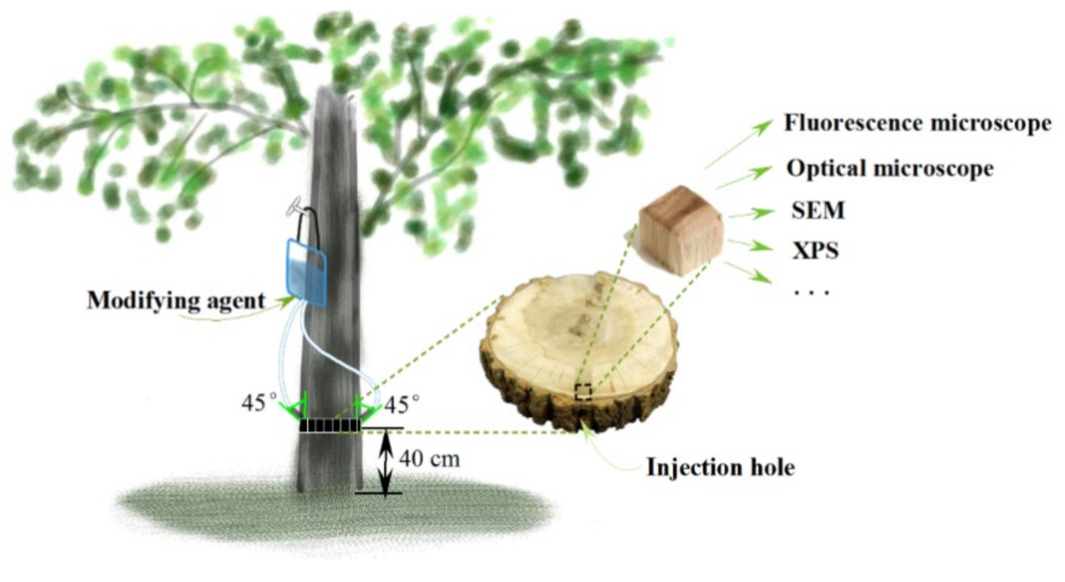 Polymers 14 03103 g001