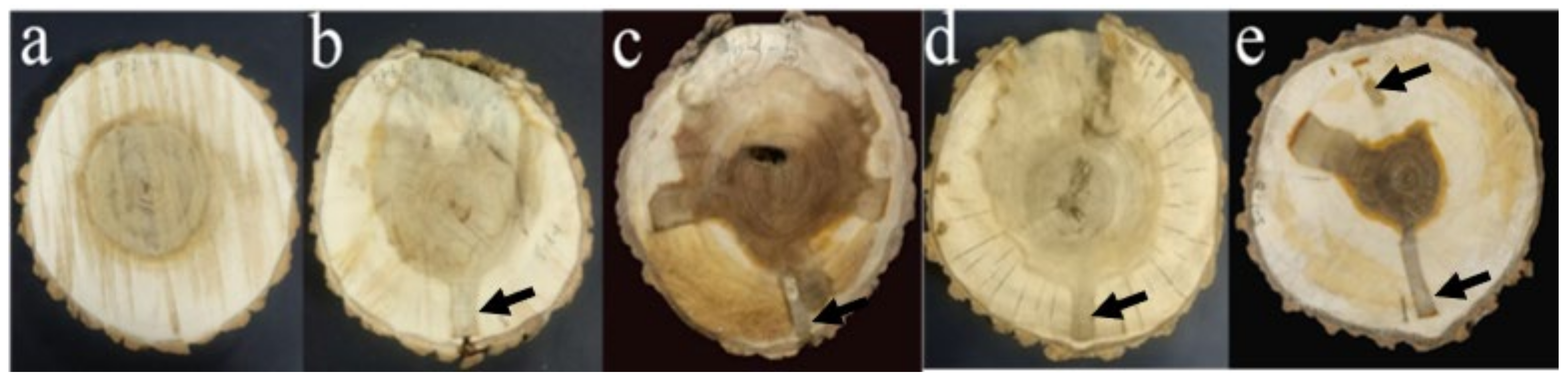 Polymers 14 03103 g002