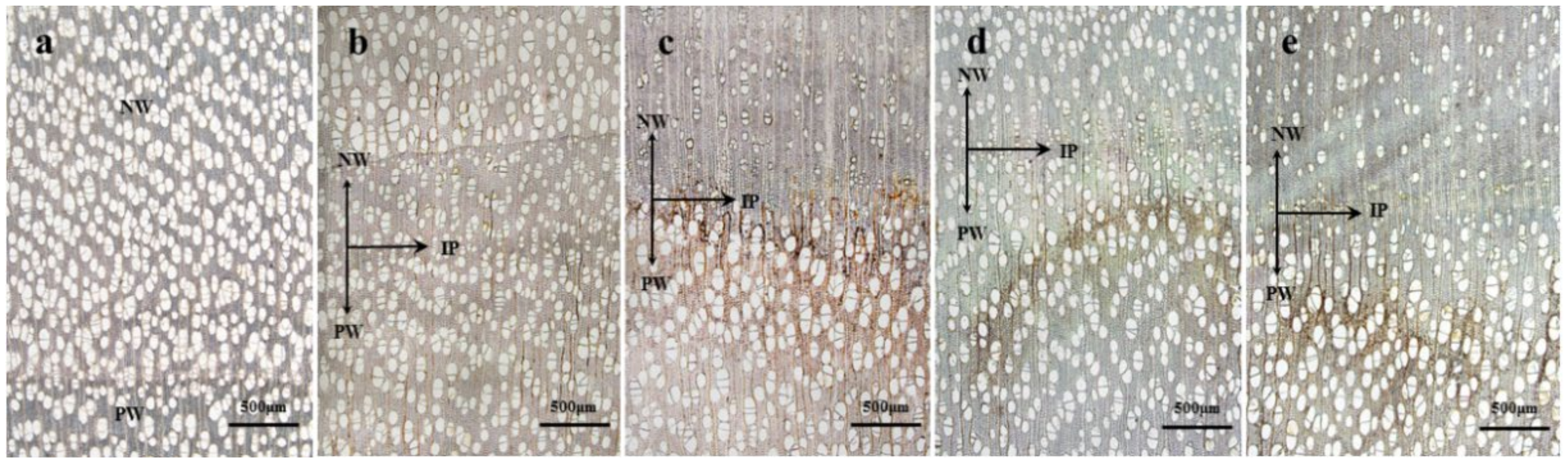 Polymers 14 03103 g003