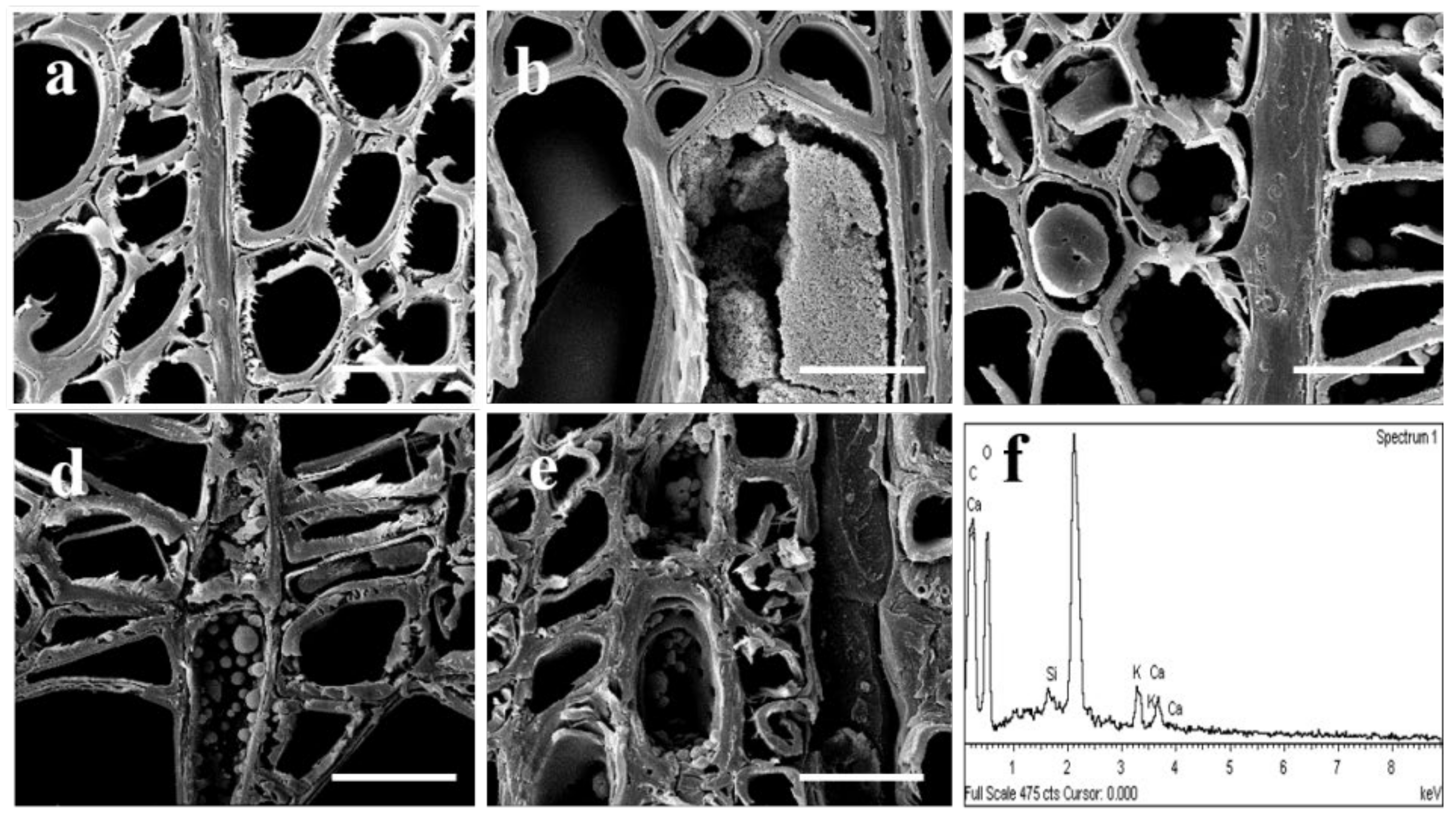 Polymers 14 03103 g005