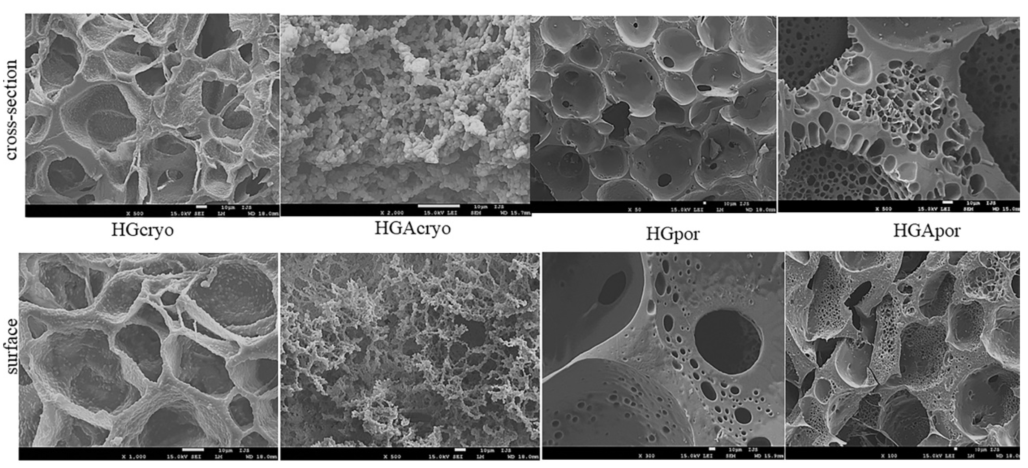 Polymers 14 03112 g002