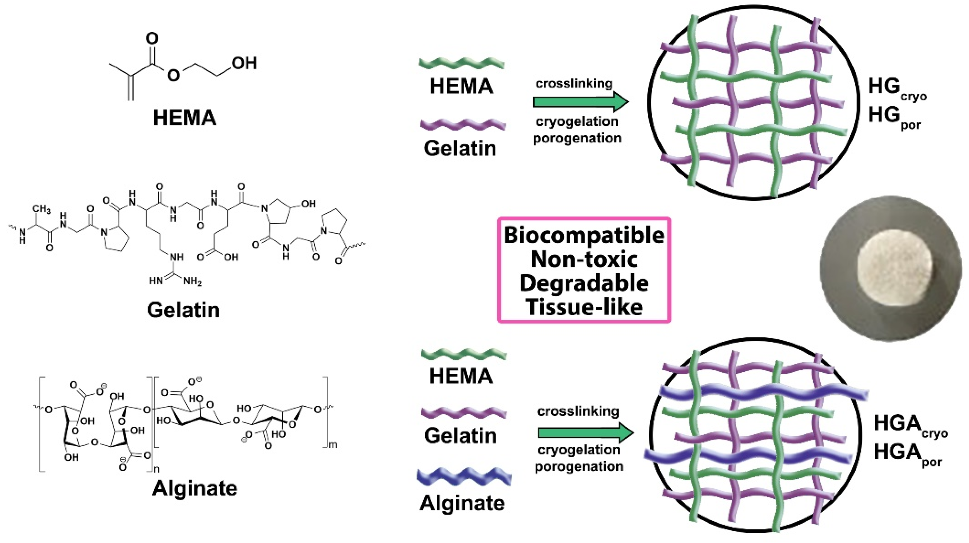 Polymers 14 03112 sch001