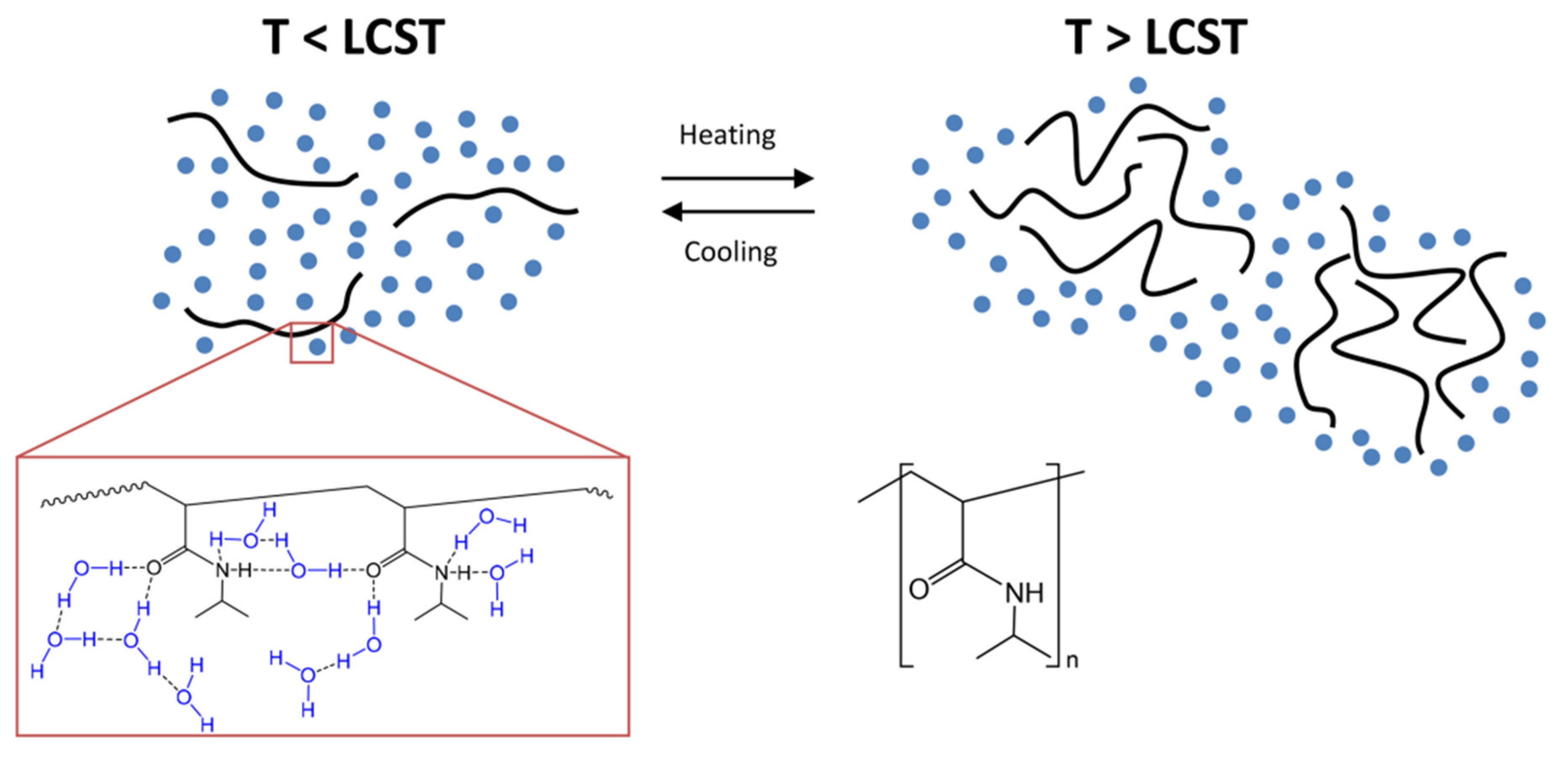 Polymers 14 03126 g003 Polymers 14 03126 g003