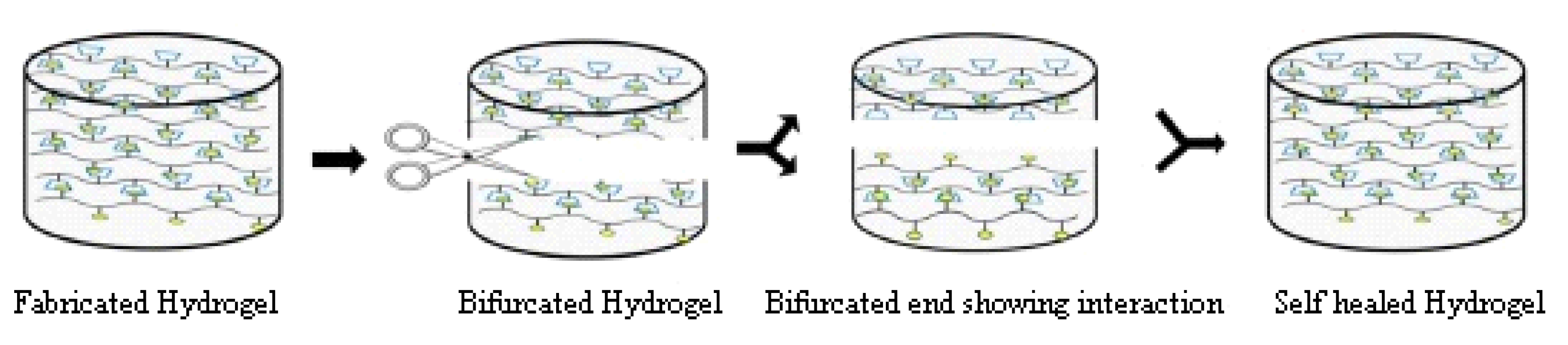 Polymers 14 03126 g006 Polymers 14 03126 g006