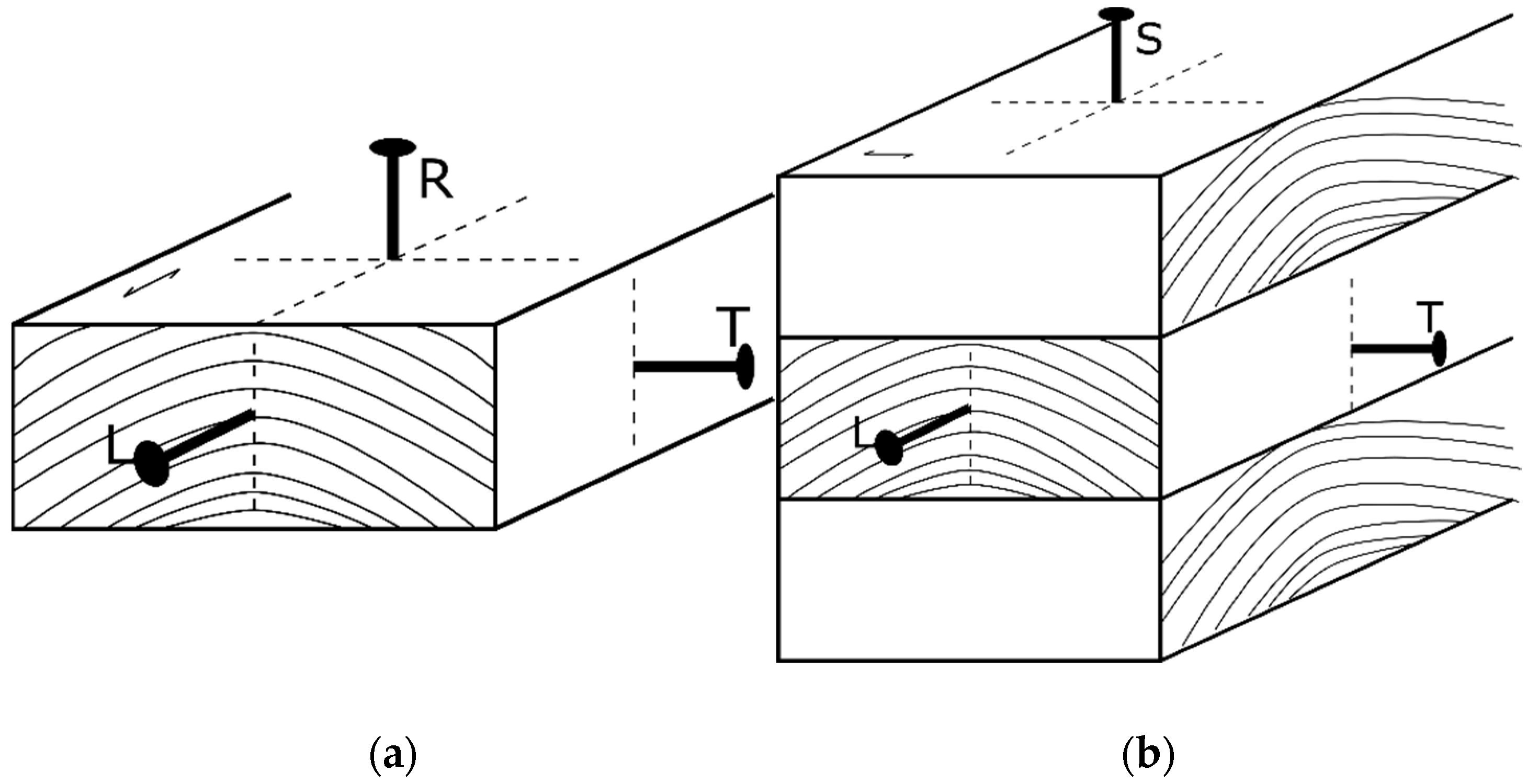 Polymers 14 03129 g001