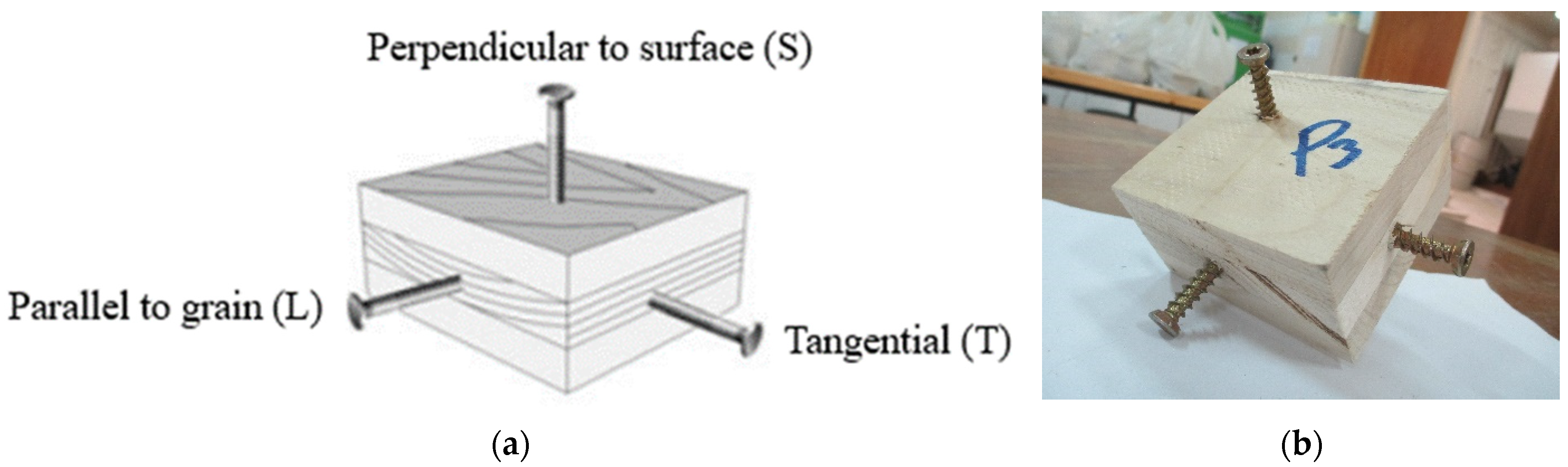Polymers 14 03129 g002