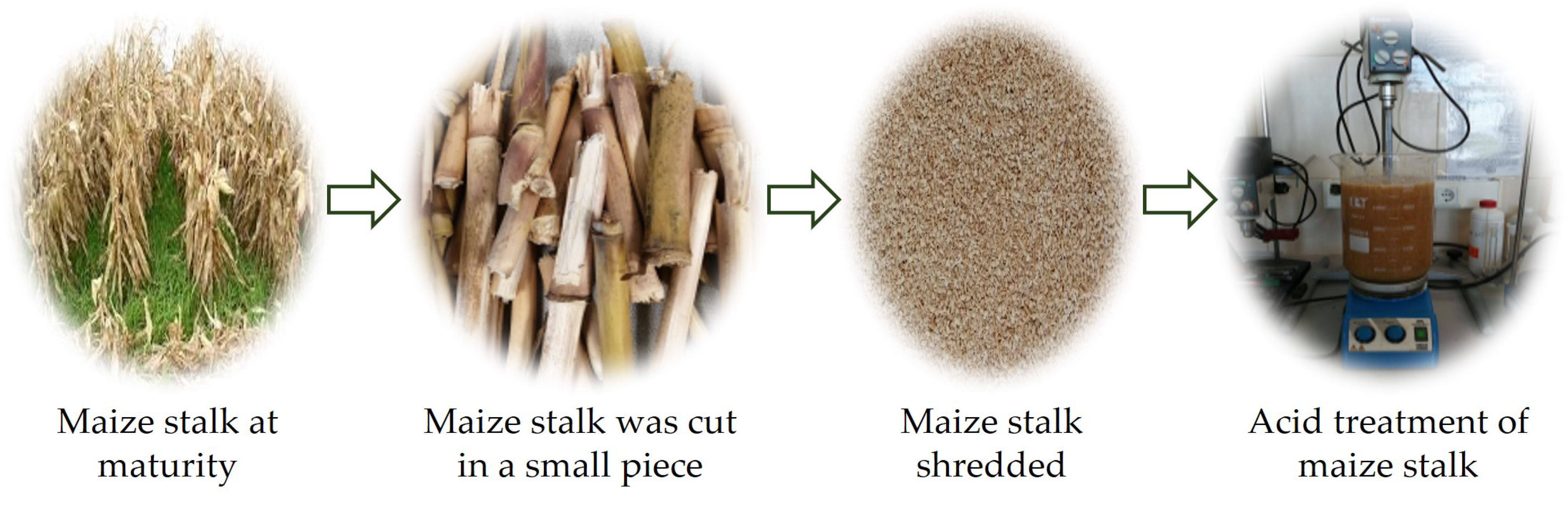 Polymers 14 03141 g001