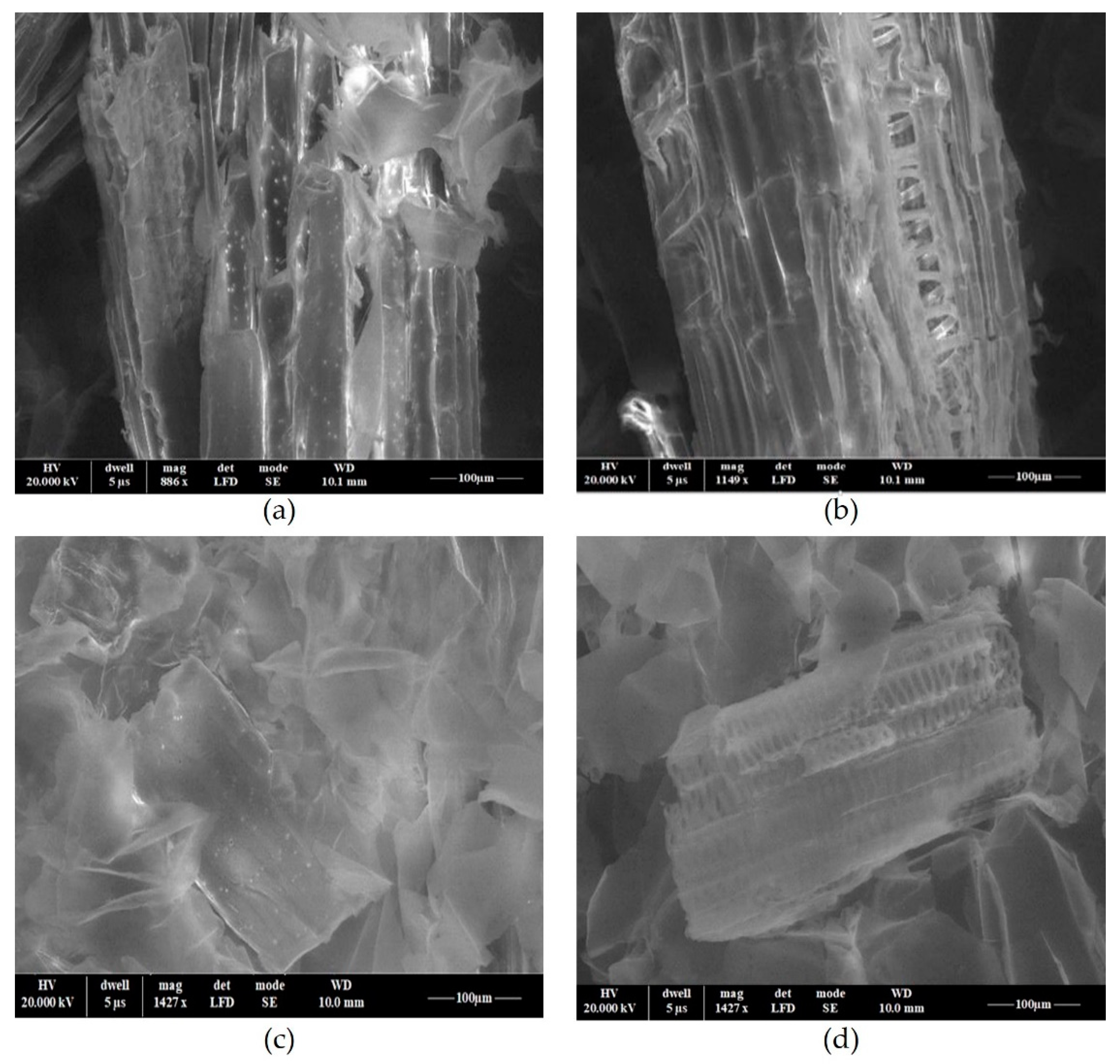 Polymers 14 03141 g010