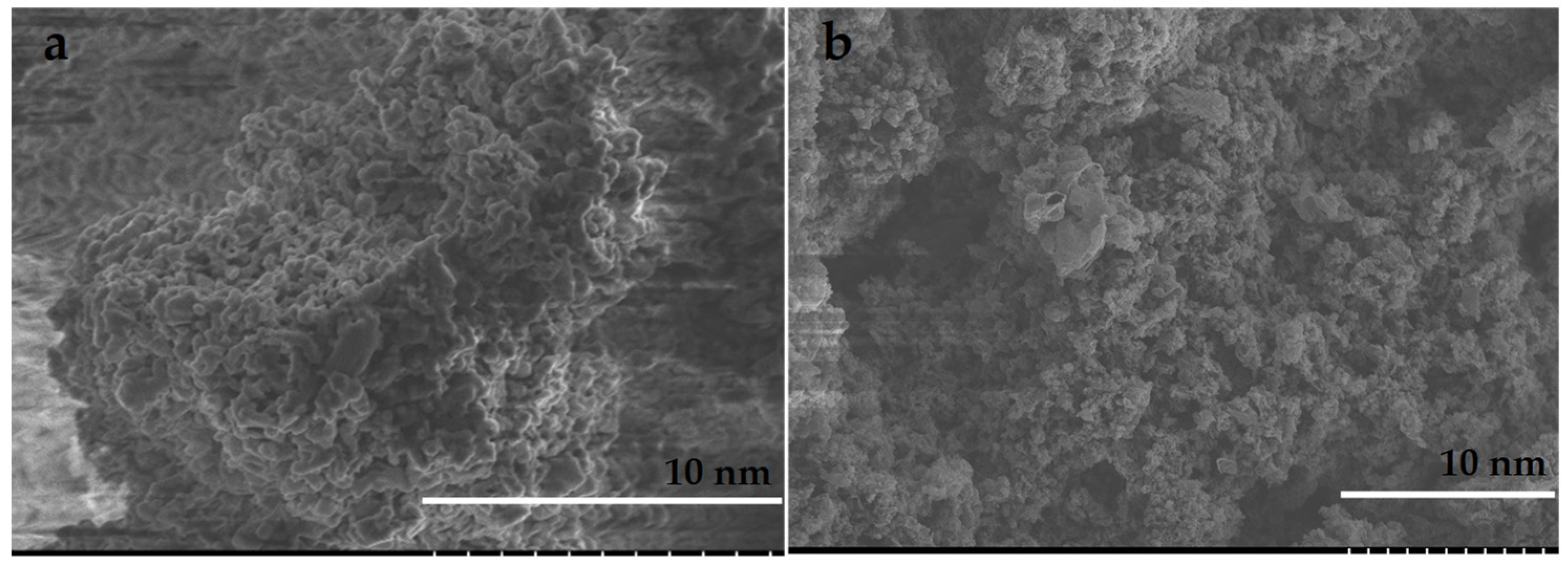 Polymers 14 03146 g002