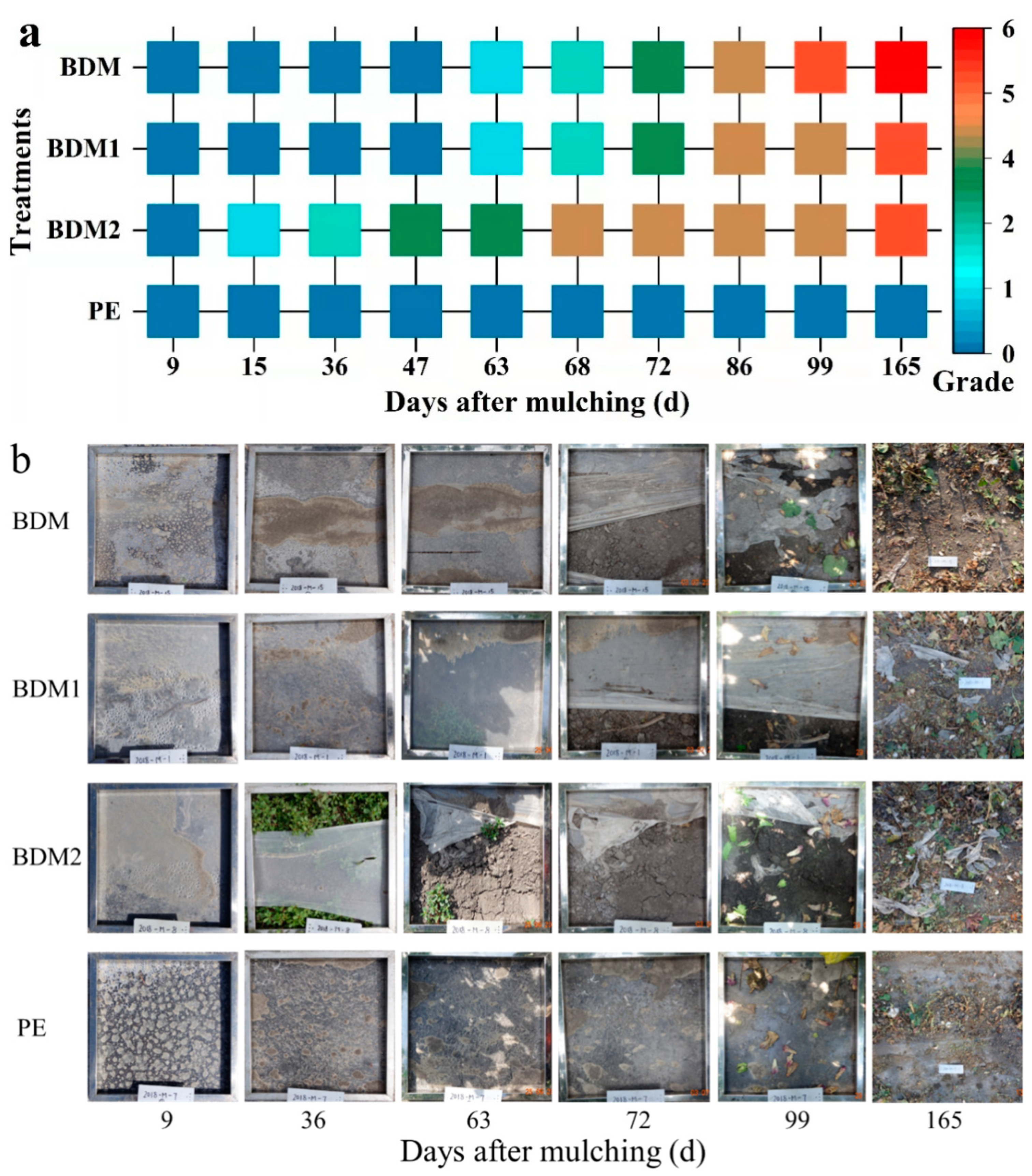 Polymers 14 03157 g006