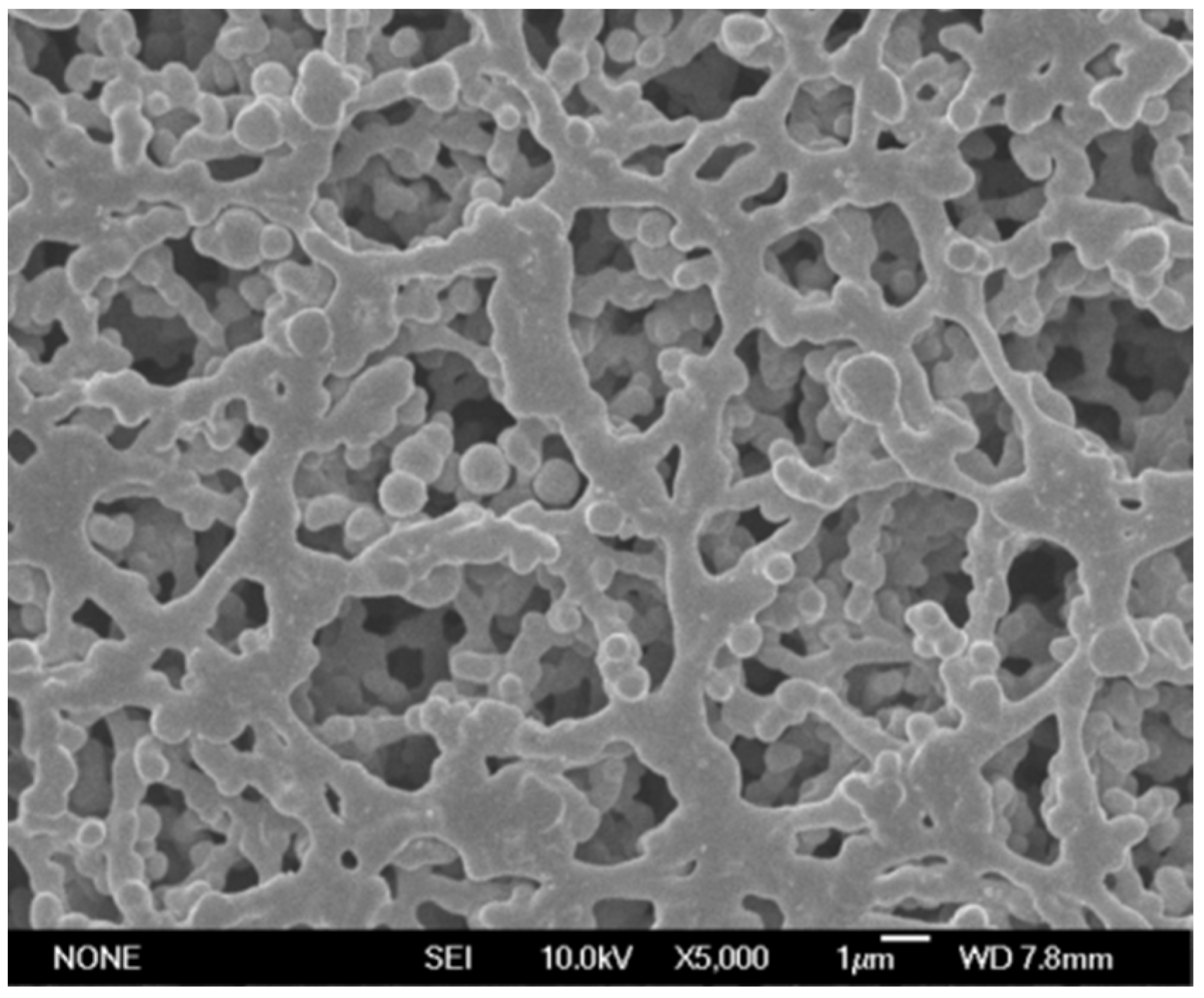 Polymers 14 03159 g002 Polymers 14 03159 g002