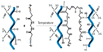 Polymers 14 03169 i002