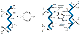 Polymers 14 03169 i008