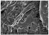 Polymers 14 03189 i008