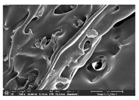 Polymers 14 03189 i009