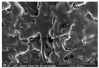 Polymers 14 03189 i011