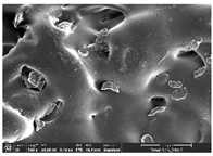 Polymers 14 03189 i012