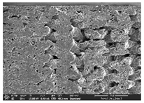 Polymers 14 03189 i016