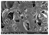 Polymers 14 03189 i018