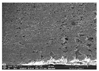 Polymers 14 03189 i019