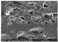 Polymers 14 03189 i021