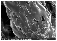 Polymers 14 03189 i024