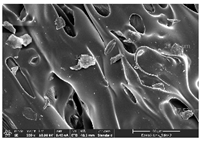 Polymers 14 03189 i027